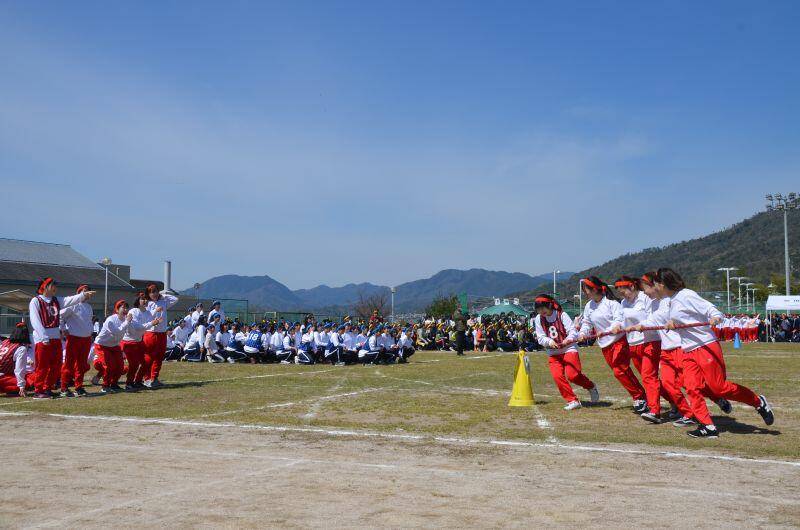 hoiku20190417_02.jpg
