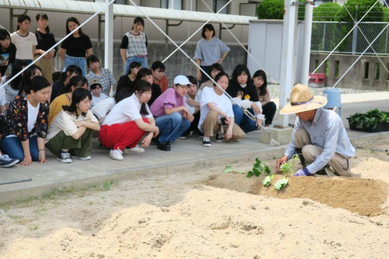 hoiku20190610_03.jpg