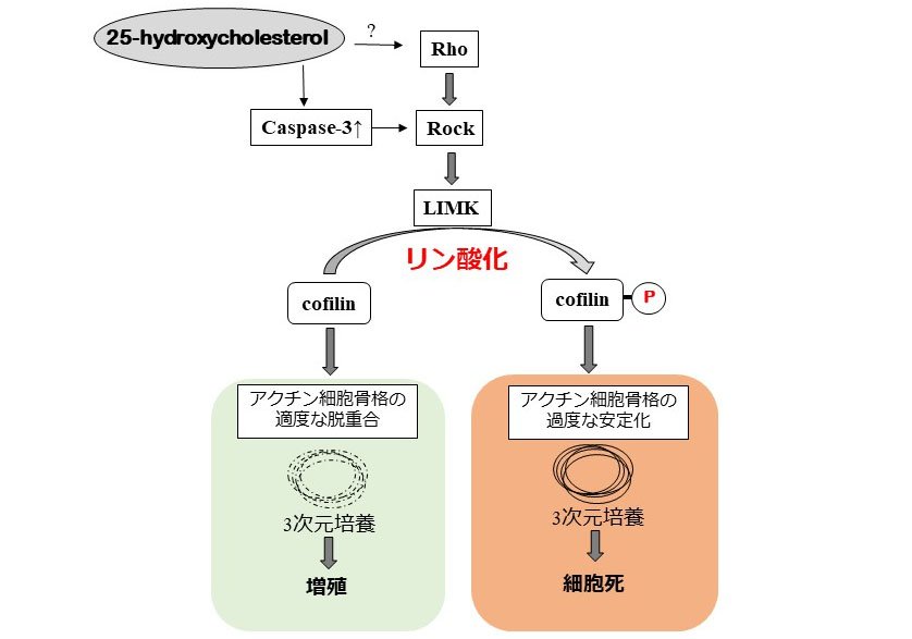yaku20211216_01.jpg