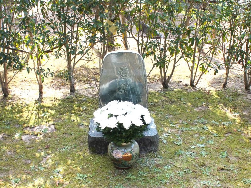 yaku20231114_02.jpg