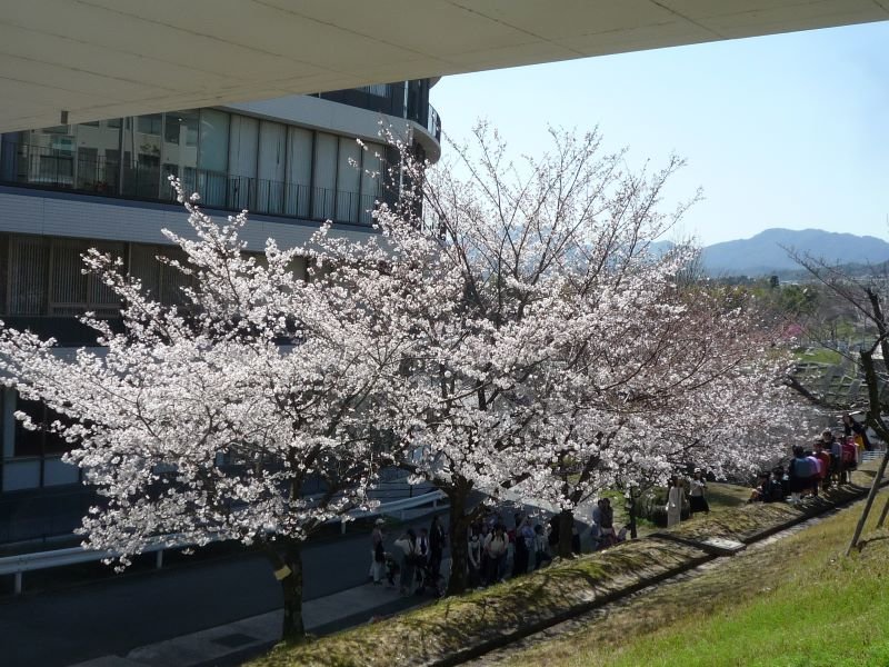 koukyou20240411_04.jpg