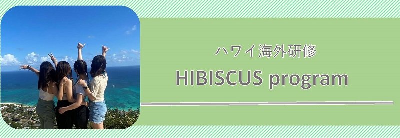 ハワイ海外研修HIBISCUSprogram｜国際観光ビジネス学科