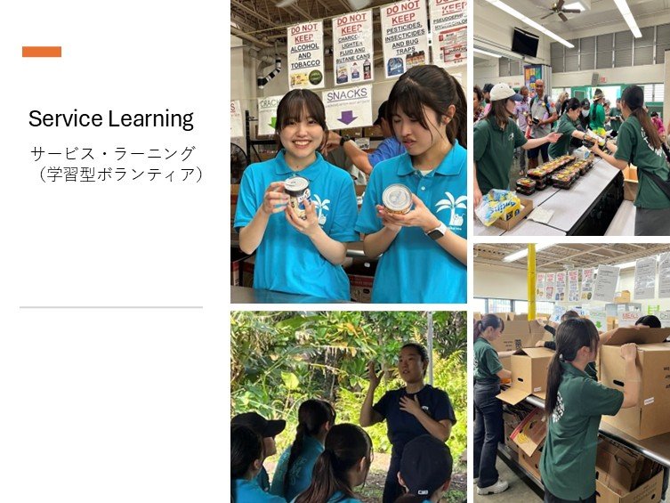サービスラーニング（学習型ボランティア）
