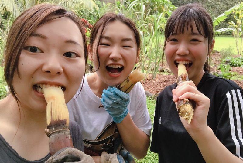 kanko20180509_03.jpg