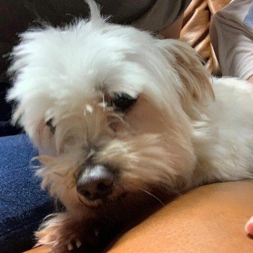 kanko20190702_02.jpg