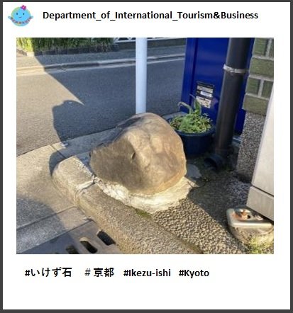 kanko20230627_03.jpg