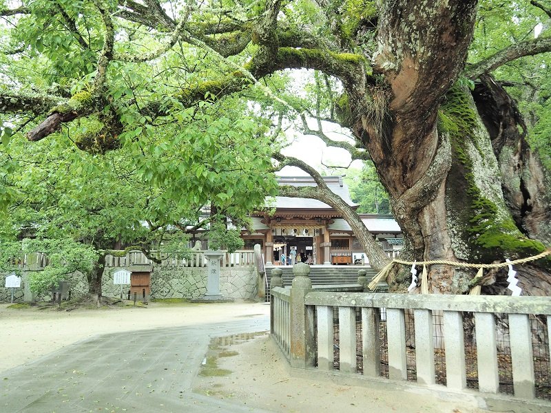 kanko20230831_10.jpg