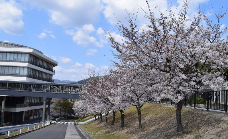 shodo20190404_2.JPG