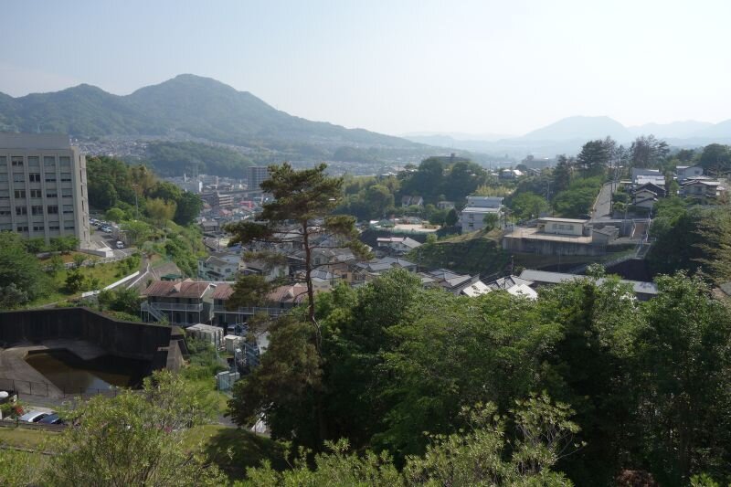 shodo20200513_4.JPG