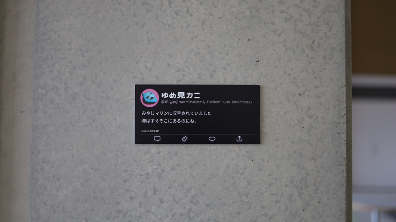 zokei20240109_08.png