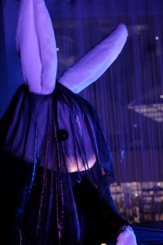zokei20250124_02.png