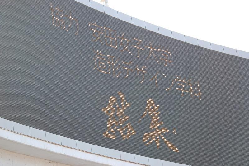 zou74.jpg