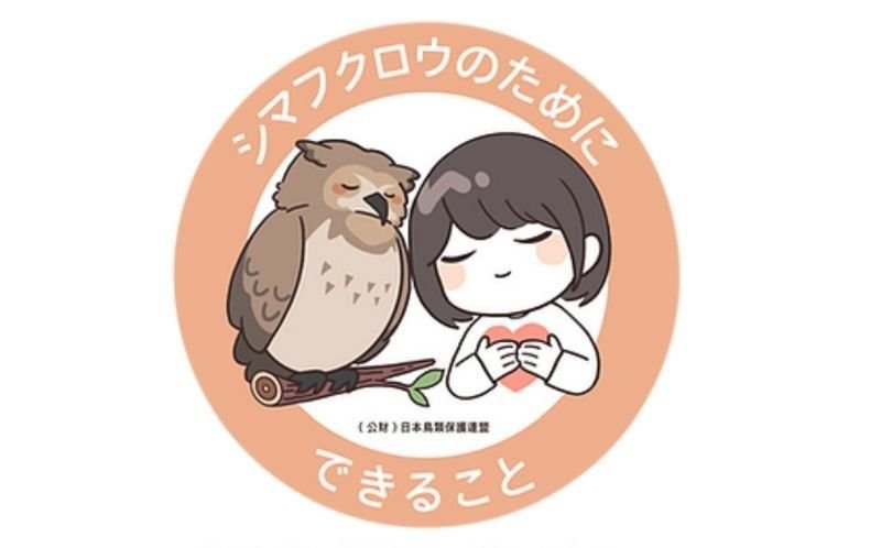 シマフクロウステッカーデザイン「優秀作品」