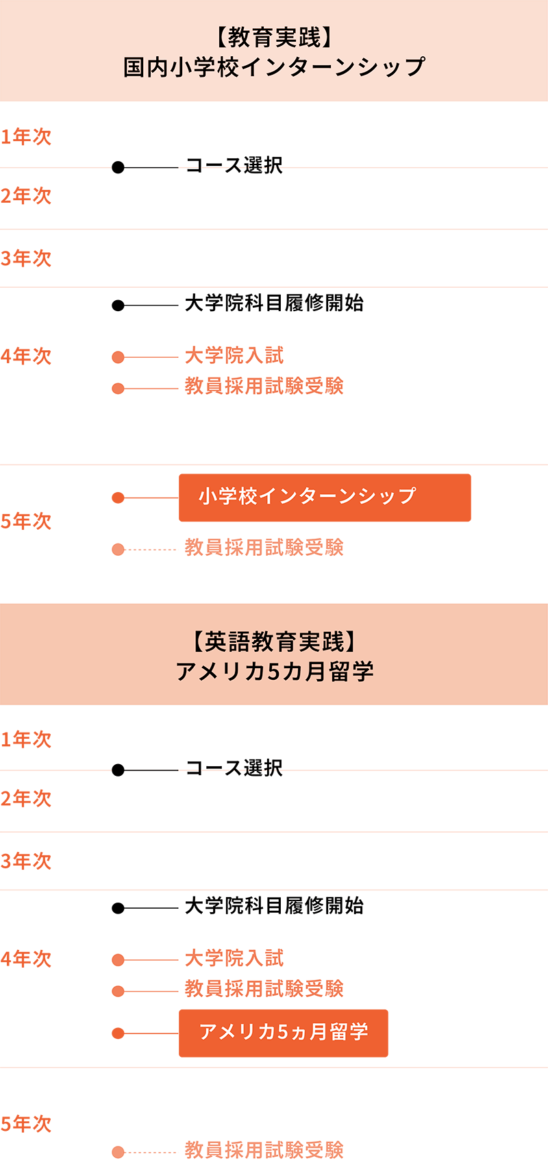 【教育実践】国内小学校インターンシップ/【英語教育実践】アメリカ5カ月留学