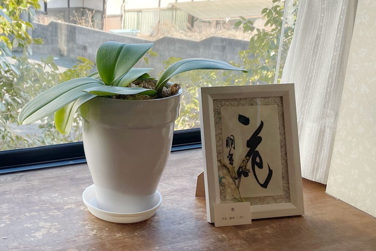 「書うぃんどう」展示開始02