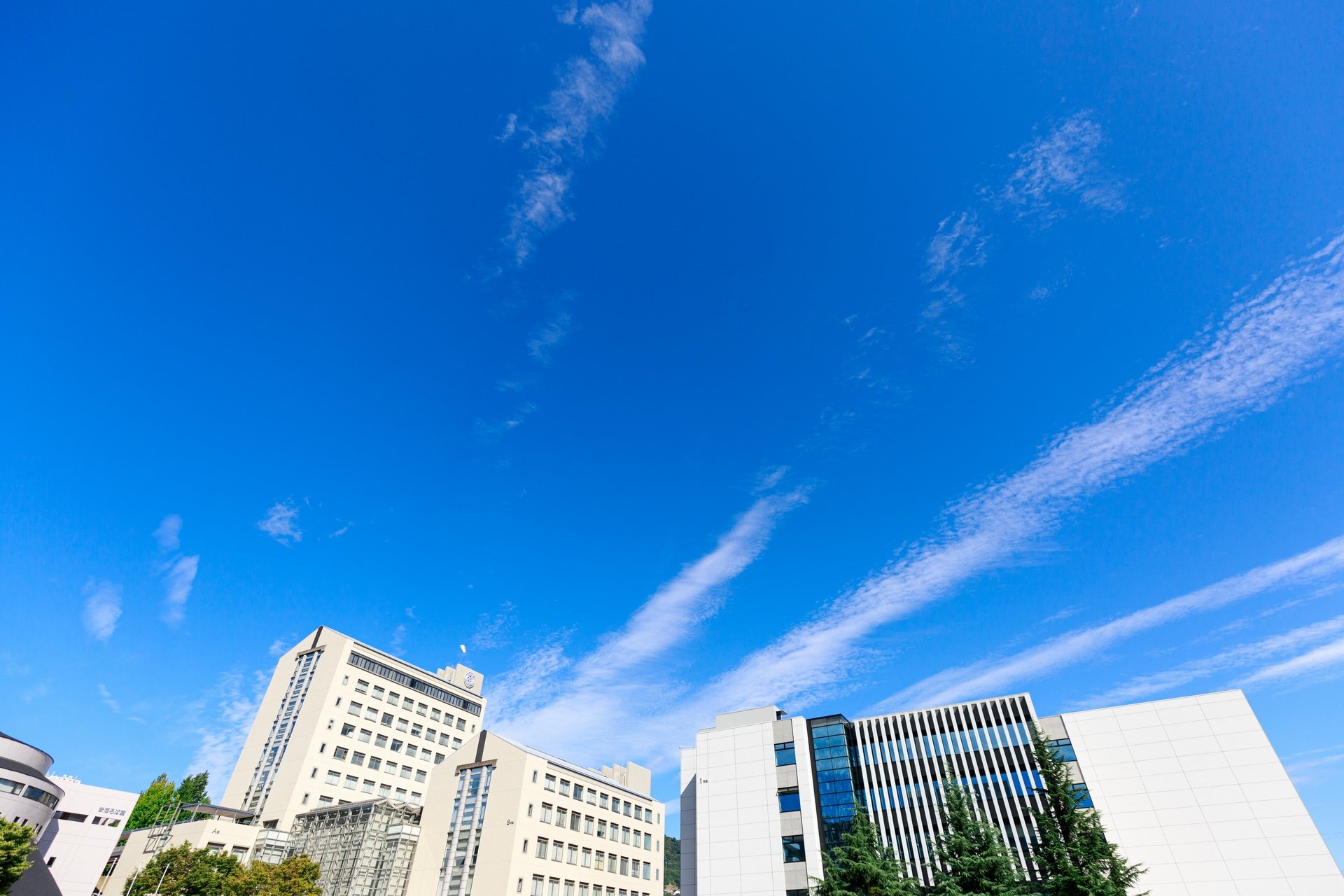 東洋経済オンライン 存在感を発揮する 本当に強い女子大 の共通点 にて本学が紹介されました お知らせ News 安田女子大学 安田女子短期大学