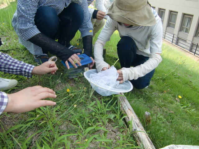 CIMG0862.jpg