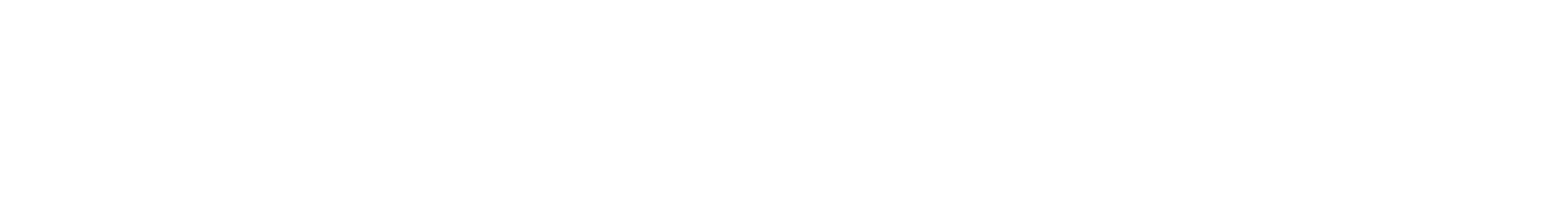 CAREER PATH