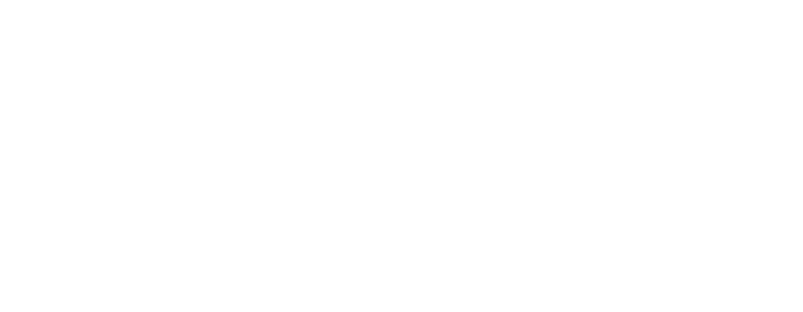 Q&A