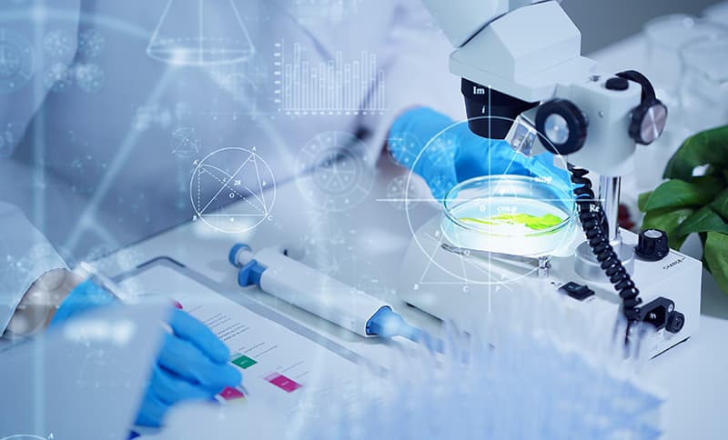 理論追求 生物科学コース