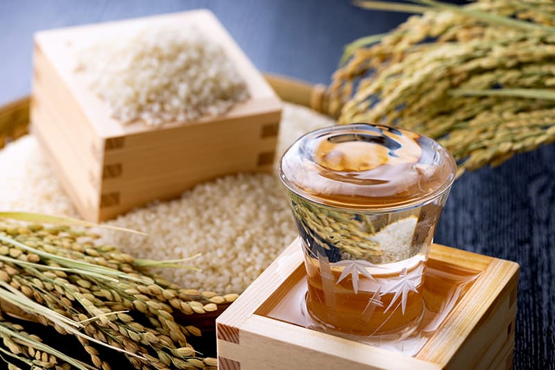 食用作物学