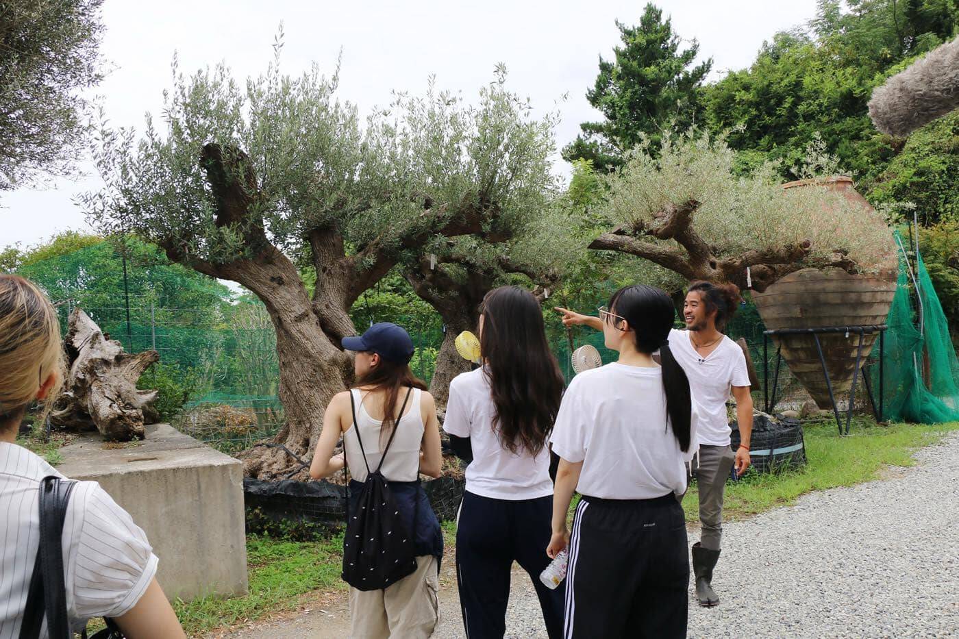 大阪の「そら植物園」を訪問し、多様な植物を見学・実際に選定